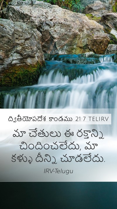 ద్వితీయోపదేశ కాండము 21:7 TELIRV Bible Verse Image