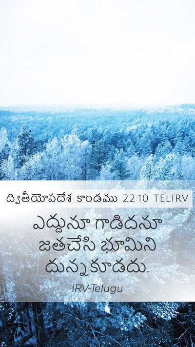 ద్వితీయోపదేశ కాండము 22:10 TELIRV Mobile Phone Wallpaper - ఎద్దునూ గాడిదనూ - Mobile Bible Verse Wallpaper