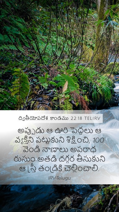 ద్వితీయోపదేశ కాండము 22:18 TELIRV Bible Verse Image