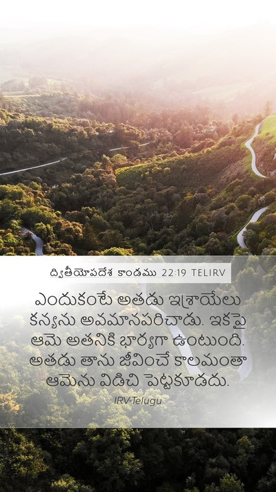 ద్వితీయోపదేశ కాండము 22:19 TELIRV Bible Verse Image