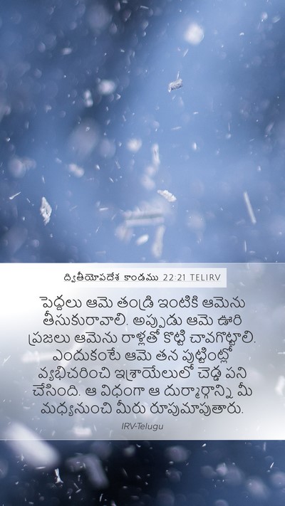 ద్వితీయోపదేశ కాండము 22:21 TELIRV Bible Verse Image