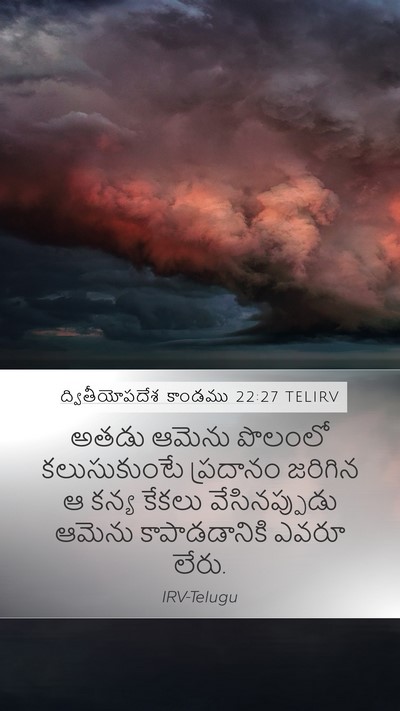 ద్వితీయోపదేశ కాండము 22:27 TELIRV Mobile Phone Wallpaper - అతడు ఆమెను పొలంలో - Mobile Bible Verse Wallpaper