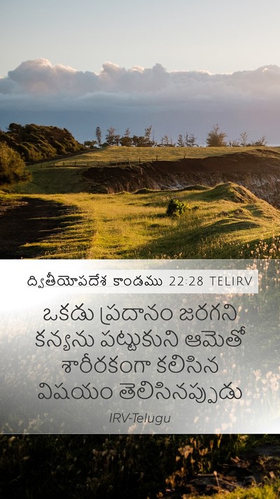 ద్వితీయోపదేశ కాండము 22:28 TELIRV Mobile Phone Wallpaper - ఒకడు ప్రదానం - Mobile Bible Verse Wallpaper