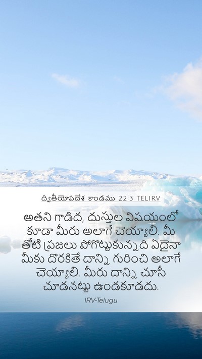 ద్వితీయోపదేశ కాండము 22:3 TELIRV Mobile Phone Wallpaper - అతని గాడిద, - Mobile Bible Verse Wallpaper
