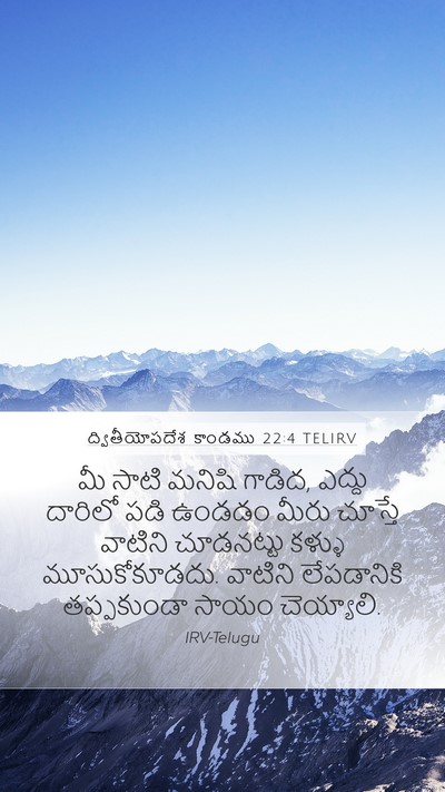 ద్వితీయోపదేశ కాండము 22:4 TELIRV Bible Verse Image