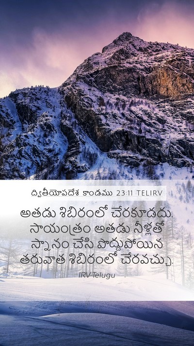 ద్వితీయోపదేశ కాండము 23:11 TELIRV Bible Verse Image