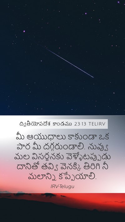 ద్వితీయోపదేశ కాండము 23:13 TELIRV Mobile Phone Wallpaper - మీ ఆయుధాలు - Mobile Bible Verse Wallpaper