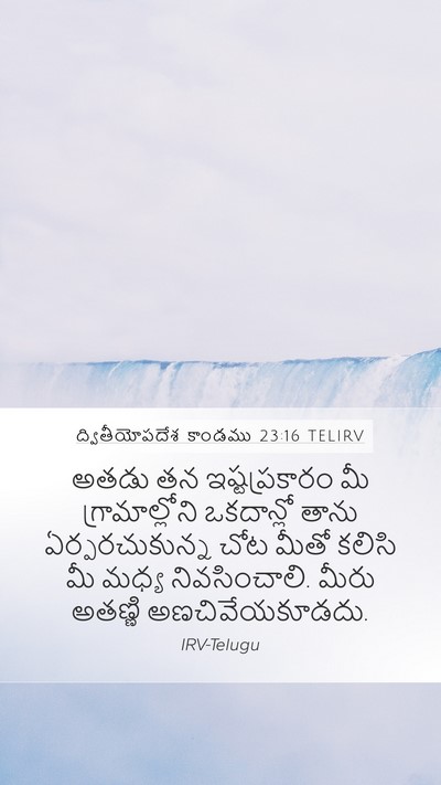 ద్వితీయోపదేశ కాండము 23:16 TELIRV Mobile Phone Wallpaper - అతడు తన - Mobile Bible Verse Wallpaper