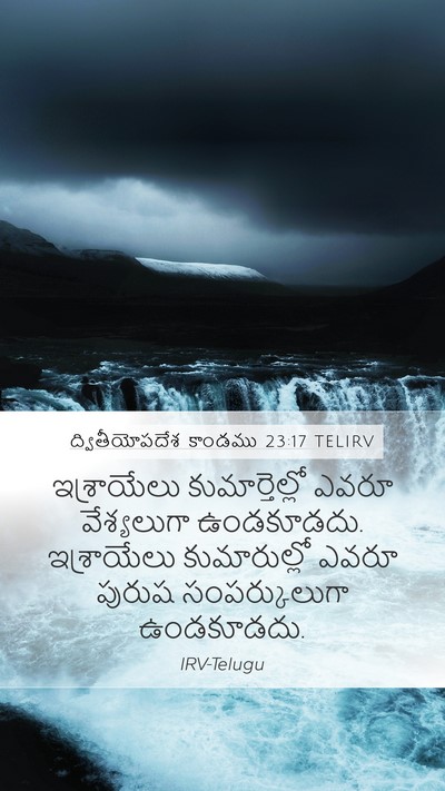 ద్వితీయోపదేశ కాండము 23:17 TELIRV Bible Verse Image