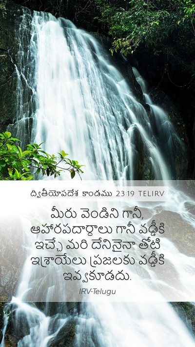 ద్వితీయోపదేశ కాండము 23:19 TELIRV Bible Verse Image