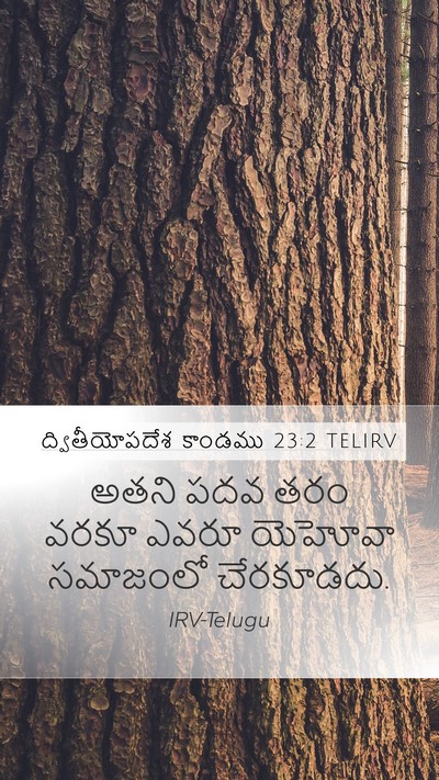 ద్వితీయోపదేశ కాండము 23:2 TELIRV Mobile Phone Wallpaper - అతని పదవ తరం వరకూ - Mobile Bible Verse Wallpaper