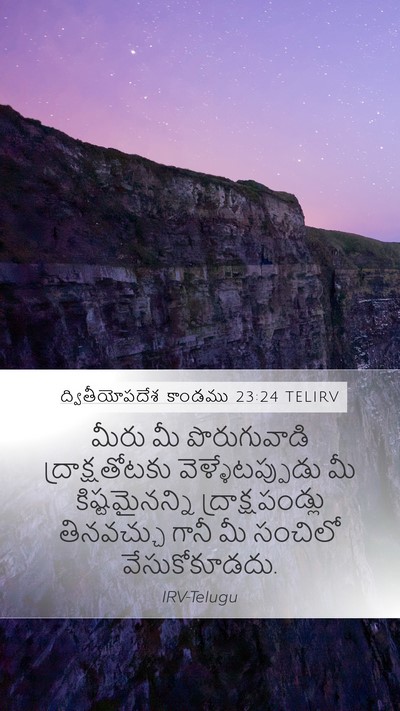 ద్వితీయోపదేశ కాండము 23:24 TELIRV Bible Verse Image