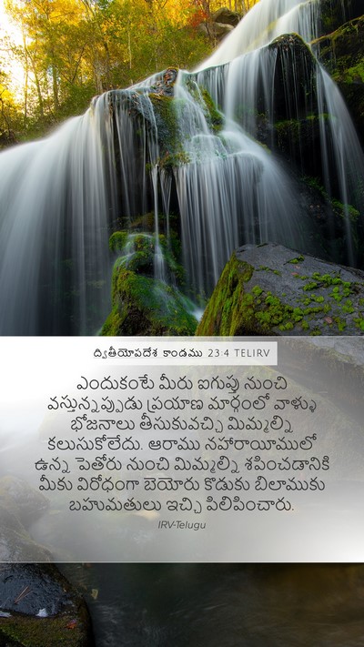 ద్వితీయోపదేశ కాండము 23:4 TELIRV Bible Verse Image
