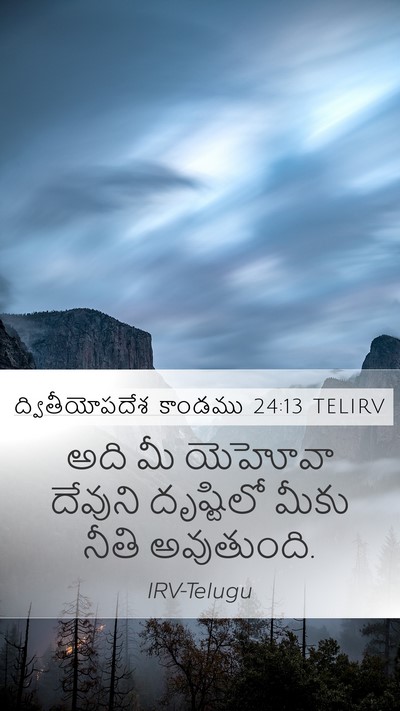 ద్వితీయోపదేశ కాండము 24:13 TELIRV Bible Verse Image