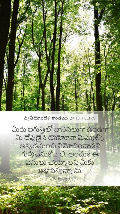 ద్వితీయోపదేశ కాండము 24:18 TELIRV Bible Verse Image