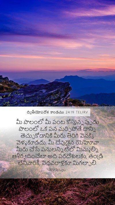 ద్వితీయోపదేశ కాండము 24:19 TELIRV Bible Verse Image
