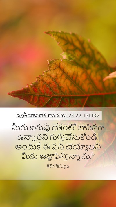 ద్వితీయోపదేశ కాండము 24:22 TELIRV Mobile Phone Wallpaper - మీరు ఐగుప్తు - Mobile Bible Verse Wallpaper