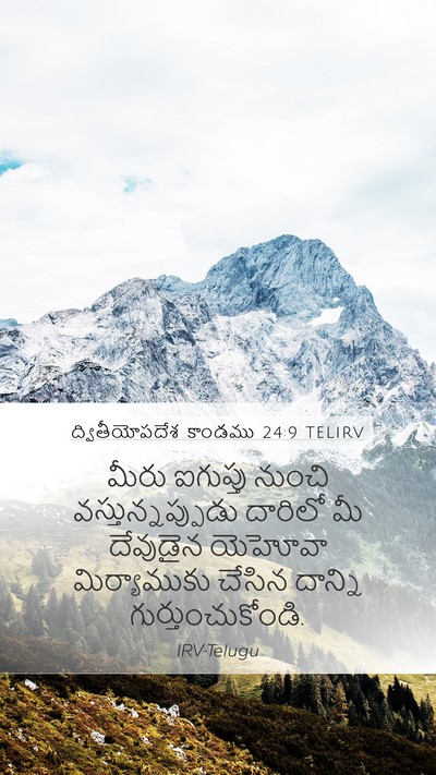 ద్వితీయోపదేశ కాండము 24:9 TELIRV Bible Verse Image
