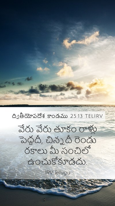 ద్వితీయోపదేశ కాండము 25:13 TELIRV Bible Verse Image
