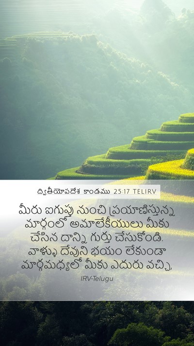 ద్వితీయోపదేశ కాండము 25:17 TELIRV Bible Verse Image