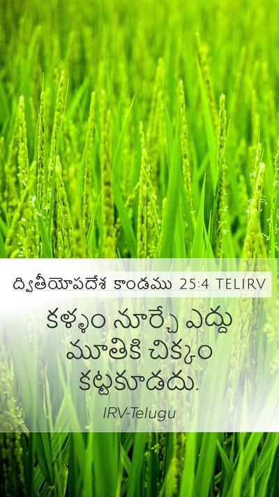 ద్వితీయోపదేశ కాండము 25:4 TELIRV Bible Verse Image