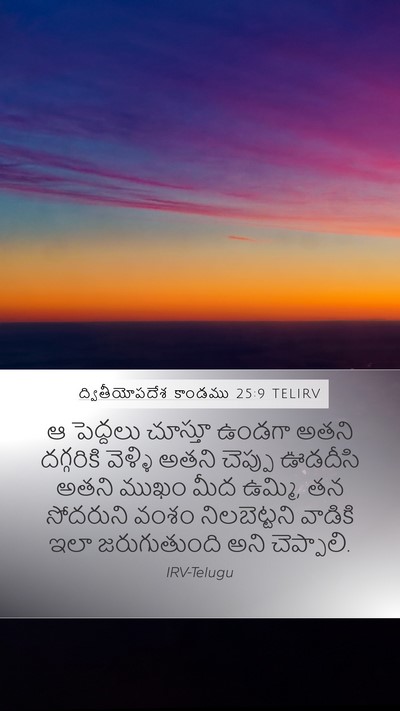ద్వితీయోపదేశ కాండము 25:9 TELIRV Bible Verse Image