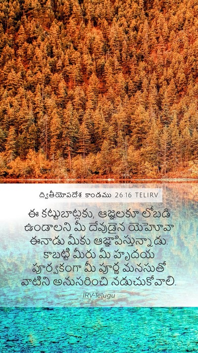 ద్వితీయోపదేశ కాండము 26:16 TELIRV Bible Verse Image