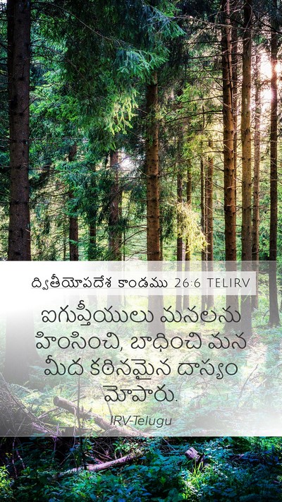 ద్వితీయోపదేశ కాండము 26:6 TELIRV Bible Verse Image