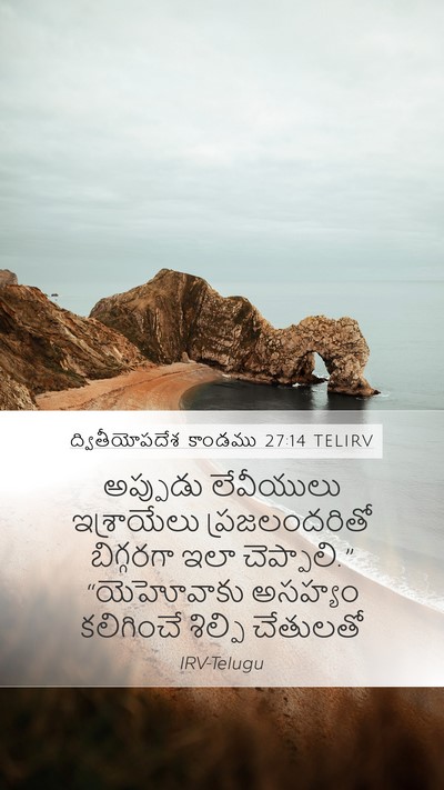 ద్వితీయోపదేశ కాండము 27:14 TELIRV Bible Verse Image