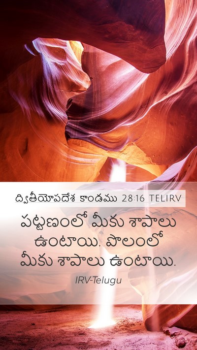 ద్వితీయోపదేశ కాండము 28:16 TELIRV Mobile Phone Wallpaper - పట్టణంలో మీకు - Mobile Bible Verse Wallpaper
