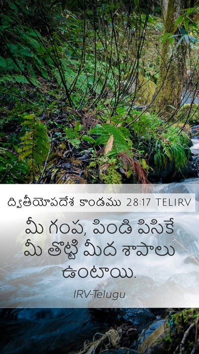 ద్వితీయోపదేశ కాండము 28:17 TELIRV Mobile Phone Wallpaper - మీ గంప, పిండి - Mobile Bible Verse Wallpaper