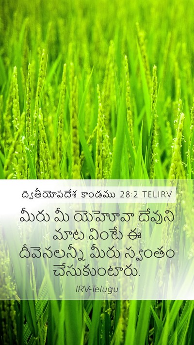 ద్వితీయోపదేశ కాండము 28:2 TELIRV Bible Verse Image