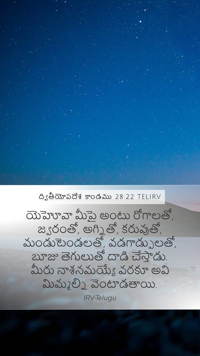 ద్వితీయోపదేశ కాండము 28:22 TELIRV Bible Verse Image