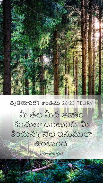 ద్వితీయోపదేశ కాండము 28:23 TELIRV Bible Verse Image