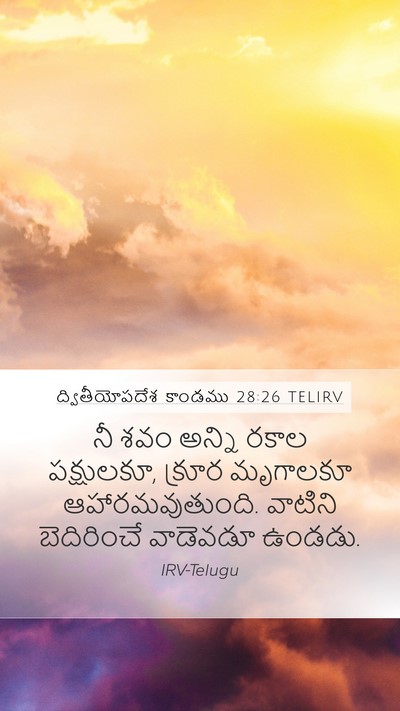 ద్వితీయోపదేశ కాండము 28:26 TELIRV Bible Verse Image