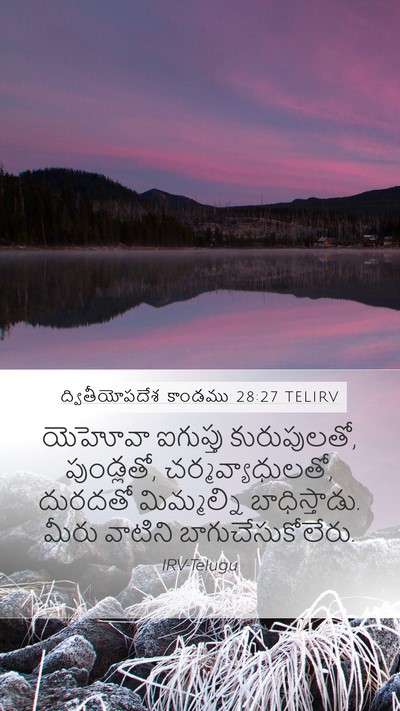 ద్వితీయోపదేశ కాండము 28:27 TELIRV Bible Verse Image