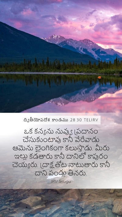 ద్వితీయోపదేశ కాండము 28:30 TELIRV Bible Verse Image
