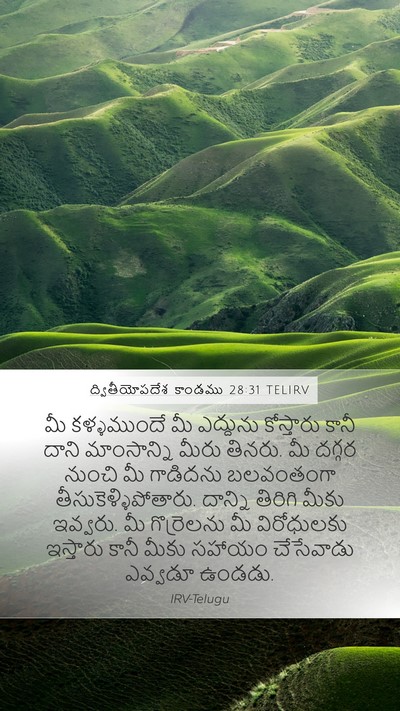 ద్వితీయోపదేశ కాండము 28:31 TELIRV Bible Verse Image