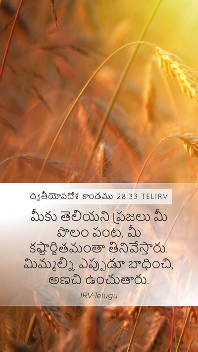 ద్వితీయోపదేశ కాండము 28:33 TELIRV Bible Verse Image