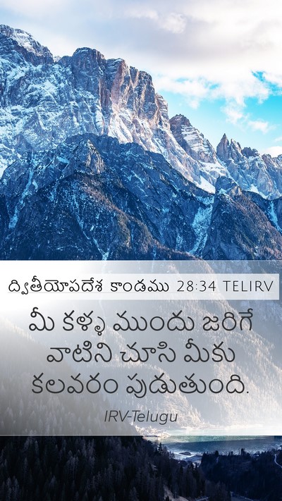 ద్వితీయోపదేశ కాండము 28:34 TELIRV Bible Verse Image