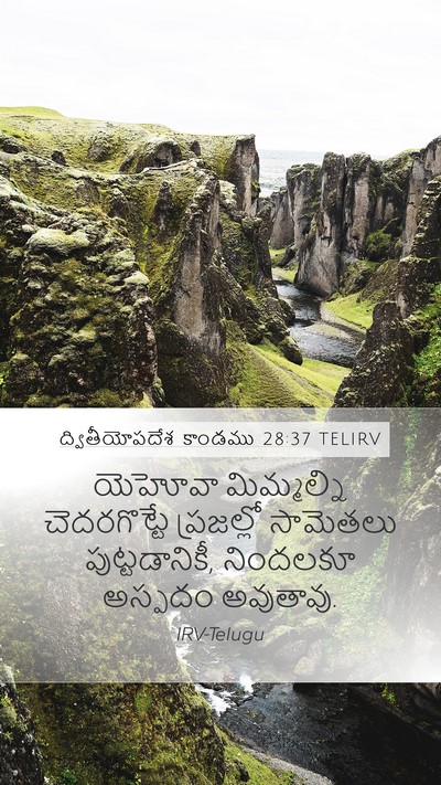 ద్వితీయోపదేశ కాండము 28:37 TELIRV Bible Verse Image