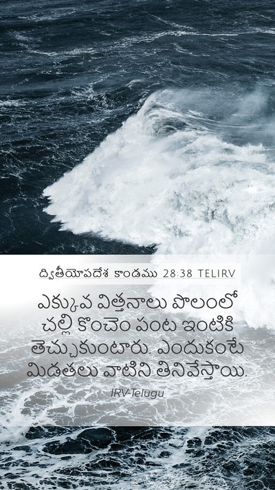 ద్వితీయోపదేశ కాండము 28:38 TELIRV Bible Verse Image