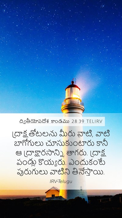 ద్వితీయోపదేశ కాండము 28:39 TELIRV Bible Verse Image