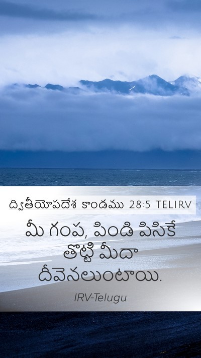 ద్వితీయోపదేశ కాండము 28:5 TELIRV Mobile Phone Wallpaper - మీ గంప, పిండి - Mobile Bible Verse Wallpaper