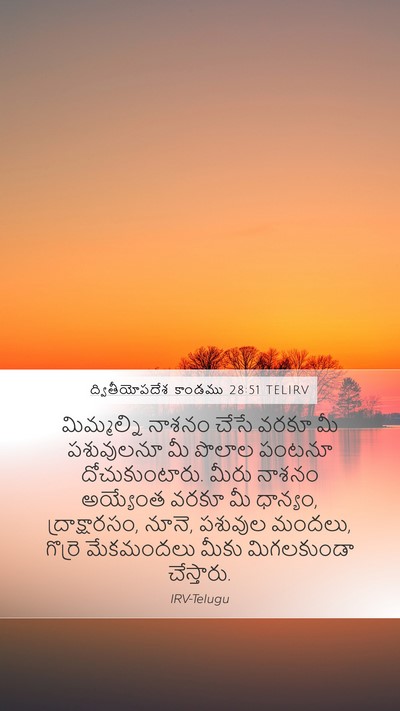 ద్వితీయోపదేశ కాండము 28:51 TELIRV Bible Verse Image