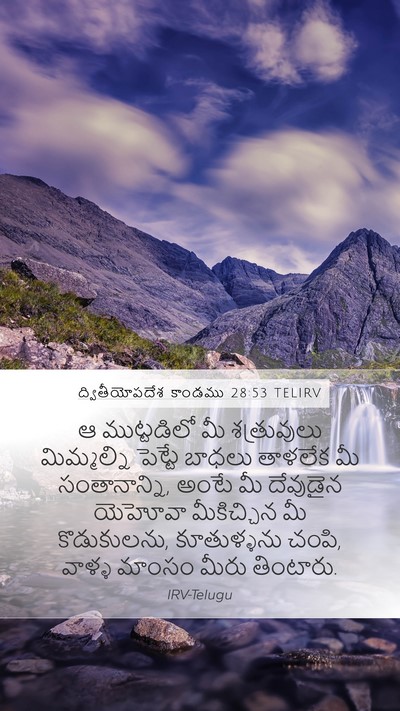 ద్వితీయోపదేశ కాండము 28:53 TELIRV Bible Verse Image