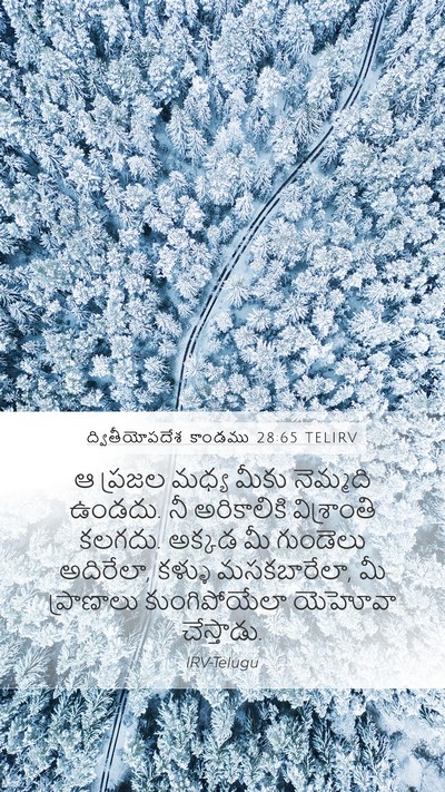ద్వితీయోపదేశ కాండము 28:65 TELIRV Bible Verse Image