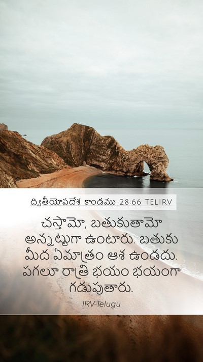 ద్వితీయోపదేశ కాండము 28:66 TELIRV Mobile Phone Wallpaper - చస్తామో, - Mobile Bible Verse Wallpaper