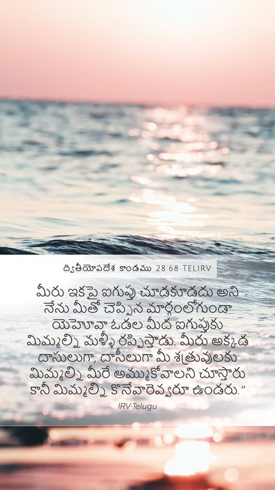ద్వితీయోపదేశ కాండము 28:68 TELIRV Bible Verse Image