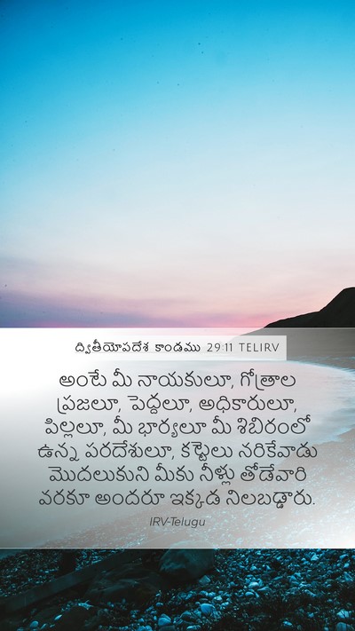 ద్వితీయోపదేశ కాండము 29:11 TELIRV Bible Verse Image